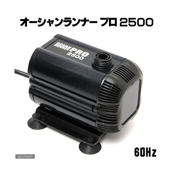 アウトレット品　６０Ｈｚ　カミハタ　オーシャンランナープロ２５００　流量４５リットル／分（西日本用）　訳あり　沖縄別途送料