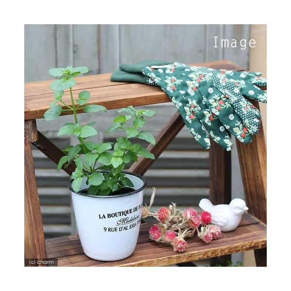 iϗtAjn[uc@~g@IW@RiP|bgj@ƒ؉