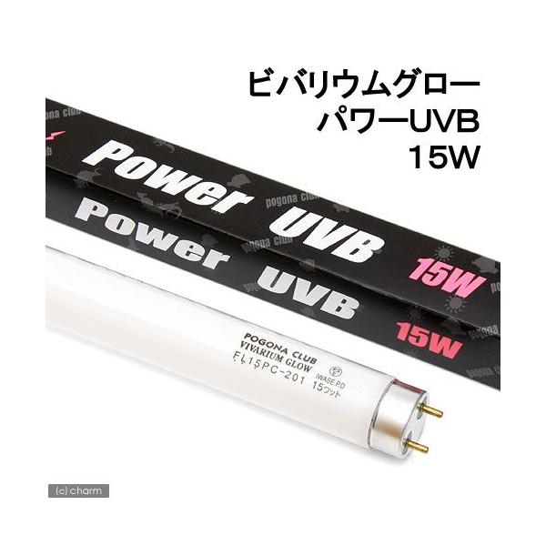 @|SiNu@roEO[@p[tua@PTviSTpj@঒ށ@Cg@O@tu