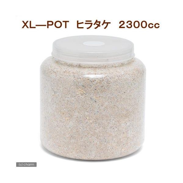 メーカー：(株)リーフ Leaf Corp coollogist　夏季クール対応　菌糸ビン　ＸＬ−ＰＯＴ　ヒラタケ　２３００ｃｃ　１本　透明ボトル　ヒラタ　オオクワ　ギラファ　アンテ　ニジイロ　昆虫用品　kuwagatayotyuugood...