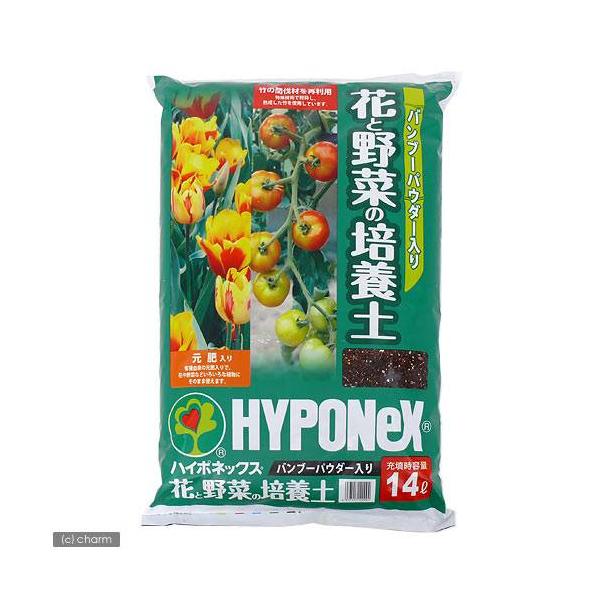 |{y@nC|lbNX@ou[pE_[@ԂƖ؂̔|{y@PSk@llQ_