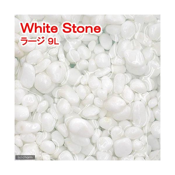 mDPPW@v@rizCgXg[j[W@Xbg@llP_