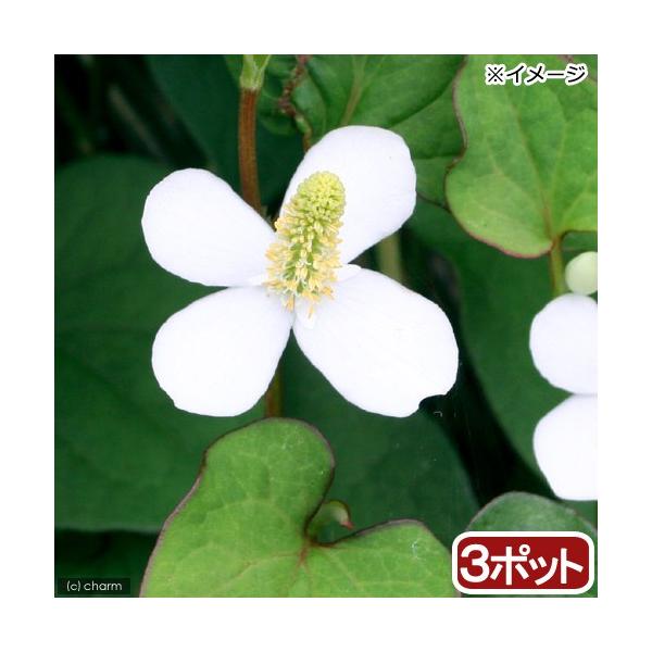 iR쑐jhN_~@RiR|bgjixԁj