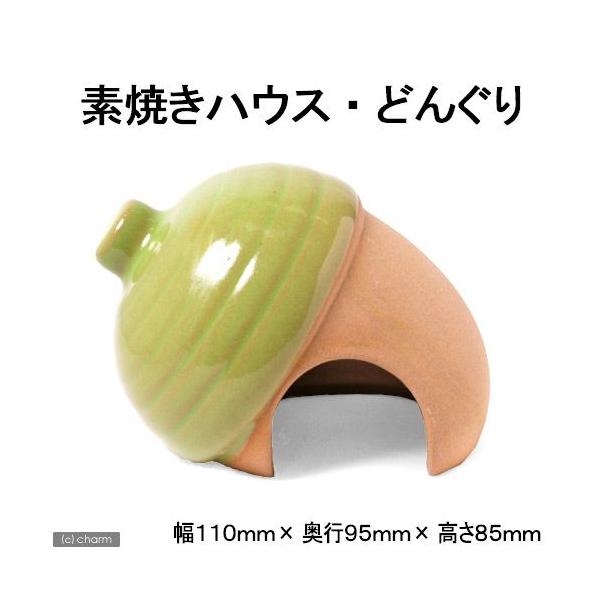 OW@fĂnEX@ǂ񂮂@nX^[@nEX