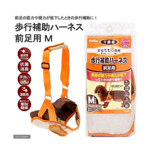 yeBI@Vp@s⏕n[lX@Op@l