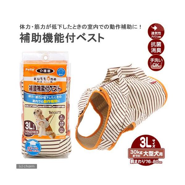 �y�e�B�I�@�V�����p�@�⏕�@�\�t�x�X�g�@�R�k