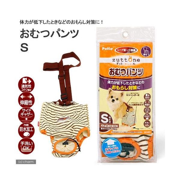 @ނ@yeBI@Vp@Icpc@r@炵@ybg