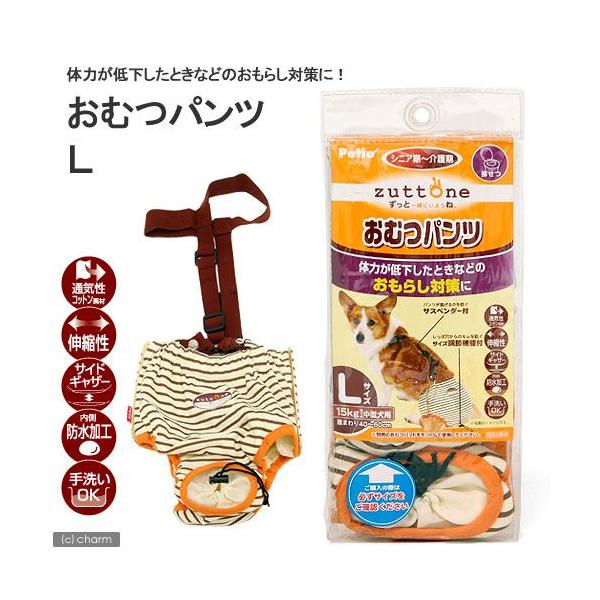 AEgbgi@@ނ@yeBI@Vp@Icpc@k@󂠂