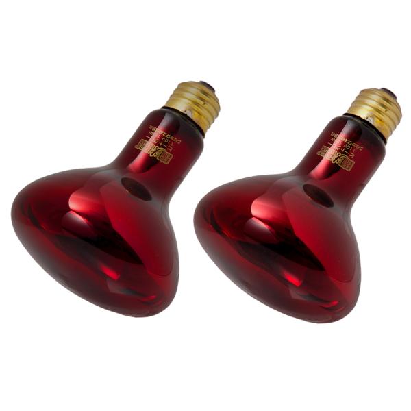 メーカー：ジェックス gex　heaterhon　ybrand_code　亀・爬虫類　保温・サーモ・電球　保温球　エキゾテラ新保温球　hoon_a　denkyu_100　ＭＫ　20120221　B946Y7KC　4972547019158　...