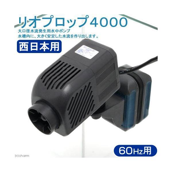 |v@UOg@J~n^@Ivbv@SOOO@ʂTO`URDRbg^@i{pj