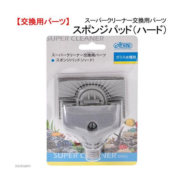 AY[@X[p[N[i[@pp[c@X|Wpbhin[hj@@|