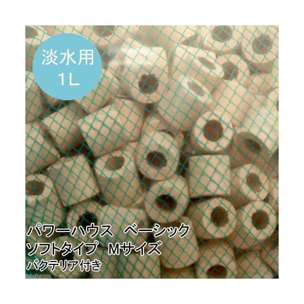 iMыjp[nEX@x[VbN@\tg^Cv@lTCY@PbgioNeAtj@kCEBq֗vۉ