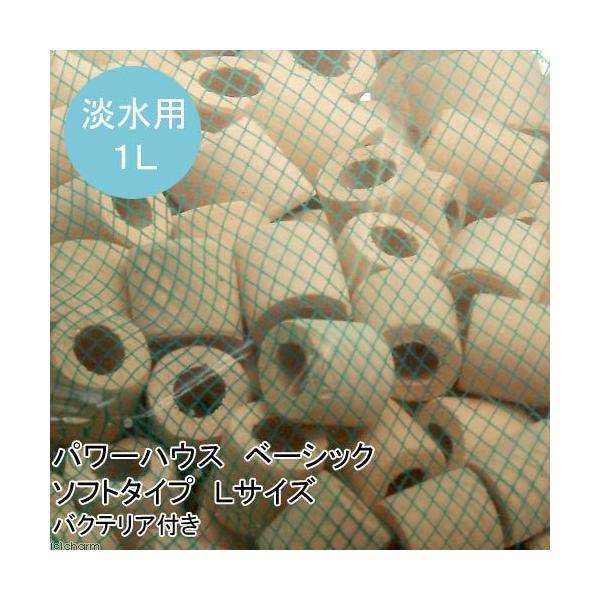 iMыjp[nEX@x[VbN@\tg^Cv@kTCY@PbgioNeAtj@kCEBq֗vۉ