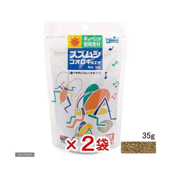 L[@XYVERIM̃GT@RT×Q܁@@钎p@a@llQT_