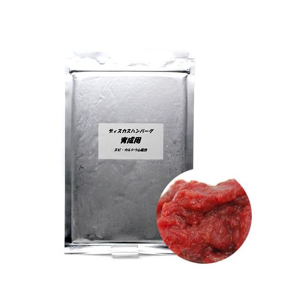 Ⓚ琬p@POO@fBXJXno[O@ʓrN[萔@퉷is