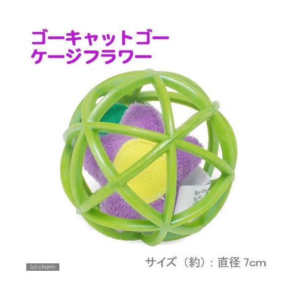 X[p[Lbg@S[LbgS[@P[Wt[@L@Lp@{[