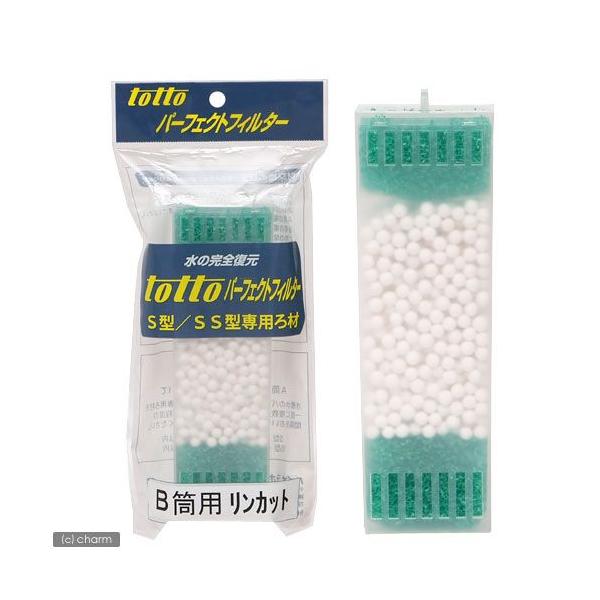 gbg@p[tFNgtB^[@~j^~j~jir^rrjʐpށ@apJbg