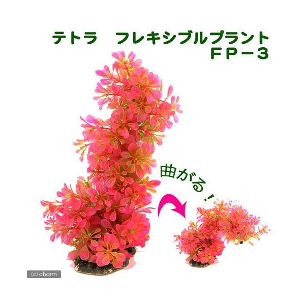 eg@tLVuvg@eo|R@`Rɕς@lH@ANZT[