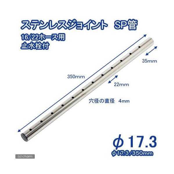 XeXWCg@roǁ@aPVDRikRTOj~iQPjt@Wp