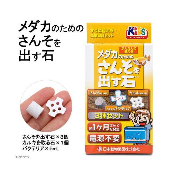 {i@j`hE@_Ĵ߂̂񂻂o΁@R@P^Cv@JL΁@oNeAt