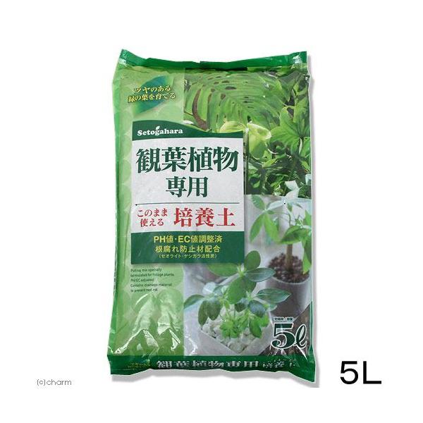 |{y@˃ԉ@ϗtAp|{y@Tk@K[fjO@py@@|