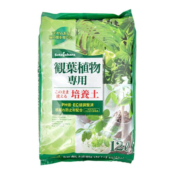 メーカー：瀬戸ヶ原花苑 観葉植物　土　培養土　data_tn_sei　_gardening　4960788901899　gardntuti_1402　瀬戸ヶ原花苑　せとがはらかえん　観葉植物専用培養土　１２Ｌ　ガーデニング　園芸用品　用土　...