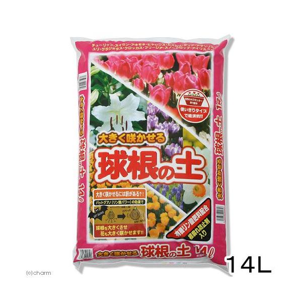 |{y@˃ԉ@傫炩鋅̓y@PSk@@|@y@llQ_