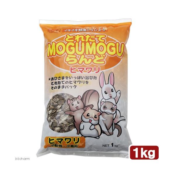 ybgt[h@ƂꂽĂlnftlnftǁ@q}@P@