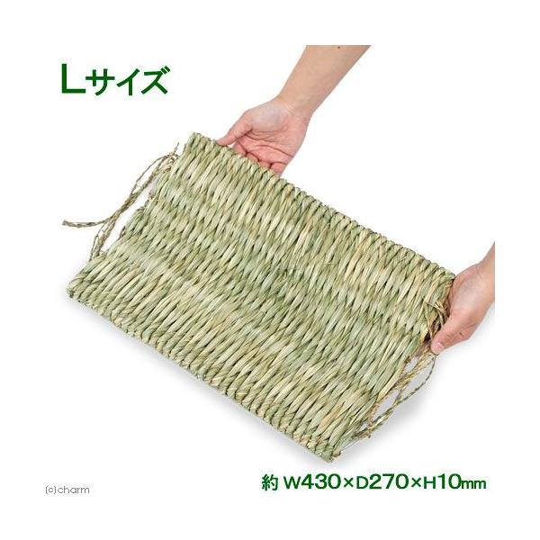 }J@Q`V[}bg@k@@NbVEzc