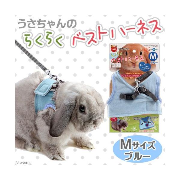 }J@̂炭炭xXgn[lX@l@u[@@n[lX@[h