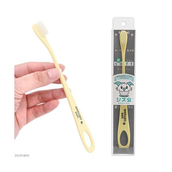 VY@uV@[Wwbh@\tg@@f^PA@