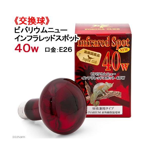 |SiENu@roECtbhX|bg@mdv@SOv@঒ށ@ۉ