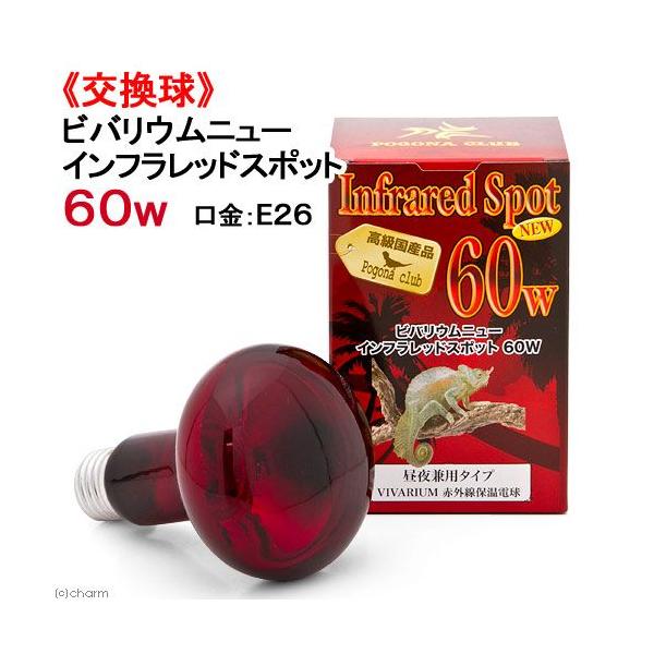 |SiENu@roE@CtbhX|bg@mdv@UOv@঒ށ@ۉ