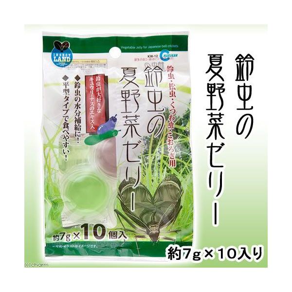 [[@}J@钎̉Ė؃[[@V×PO@XYV@⋋