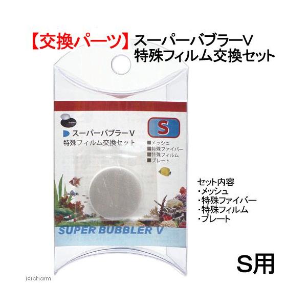 AY[@X[p[ou[u@rp@tBZbg@p[c