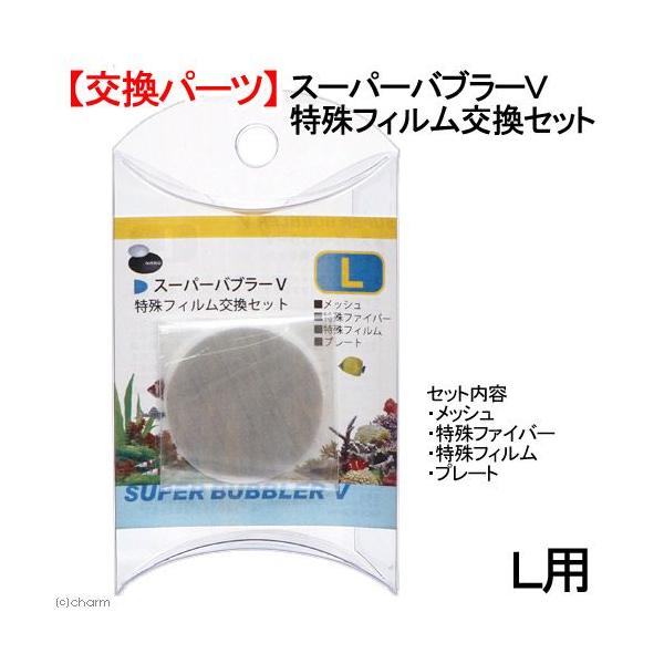 AY[@X[p[ou[u@kp@tBZbg@p[c