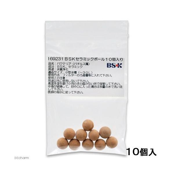 oNeAt@arjZ~bN{[@PO@WECp@@Mы@oNeA