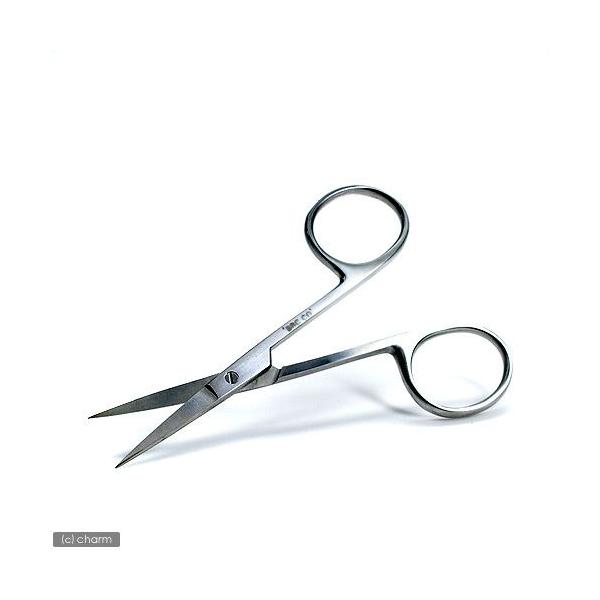 s@XeXnT~@@Xg[g^CviS@Xj@@g~O@