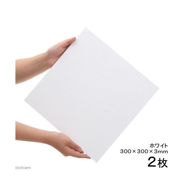 メーカー：(株)リーフ Leaf Corp アクアリウム用品　金魚・メダカ　アクア用品　水槽用マット　バックスクリーン　プラパール　３００×３００　ホワイト　白　３０×３０ｃｍ　６０ｃｍ水槽　20130827　ＫＫ　_kingyo　_fis...