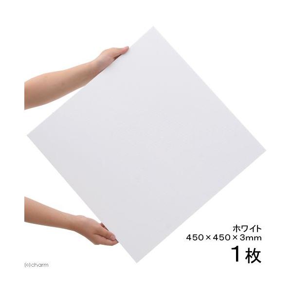 45cm キューブ 水槽」の人気商品一覧 | 安い商品を通販サイト