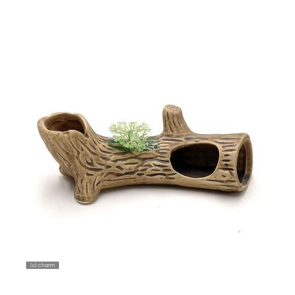 メーカー：スドー sudo　アクアリウム用品　金魚・メダカ　器具　水槽用アクセサリ　建造物　_aqua　4974212316500　メダカ　水草　opa2_none　y23m09