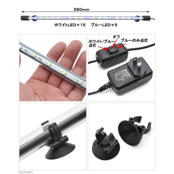 テトラ ｌｅｄ水中ライト ｓｌ ６０ ６０ｃｍ水槽用照明 熱帯魚 水草 アクアリウムライト Buyee Buyee Japanese Proxy Service Buy From Japan Bot Online
