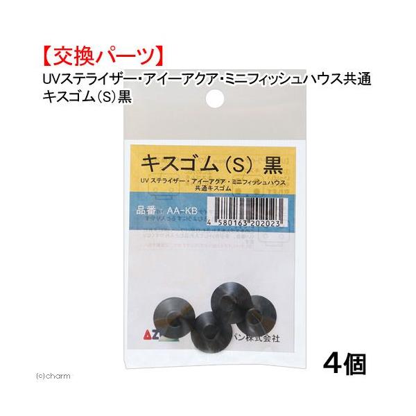 AY[@tuXeCU[@AC[ANAE~jtBbVnEXʌpLXSirj@S