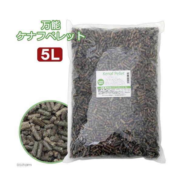 \Pitybg@Tk@gC@؍ށ@L@@``@bg@p@llS_@L@gC