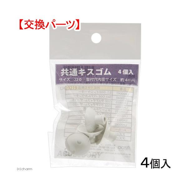 AY[@bnQ@NAfBt[U[ECWP[^[EouJE^[ʃLXS@S