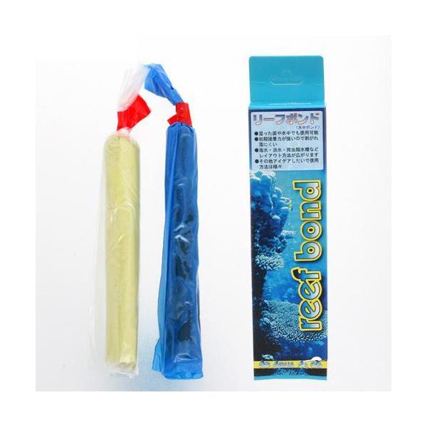 J~n^@[t{h@PPQ@ڒ܁@CAEg@ڒ