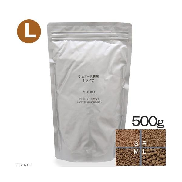 }ebN@V[Ct@VA[@k@Ɩp@TOO@C@a@ɒ