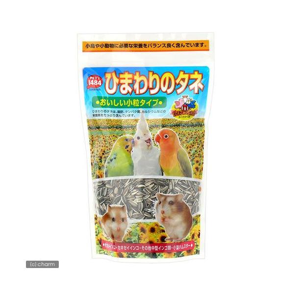 NIX@Ђ܂̃^l@^Cv@ROO@nX^[t[h@@@GT@a