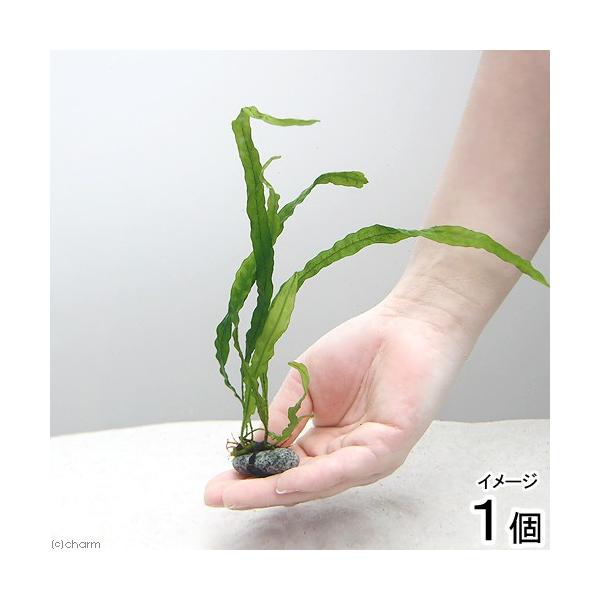 ij~N\E@Z~i[Εtitji_jiPj