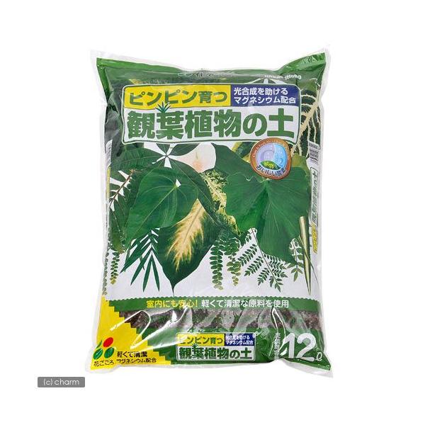 メーカー：花ごころ 観葉植物　土　培養土　ガーデニング　園芸用品　用土　花ごころ　観葉植物の土　１２Ｌ　20120527　TNK　_gardening　4977445108300　室内　インドアガーデニング　室内ガーデニング　opa2_de...